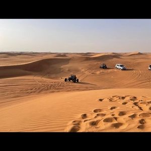 Meet your Posher, Bo